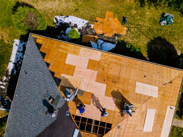 Best Metal Roofing Contractor  in Cape Charles, VA
