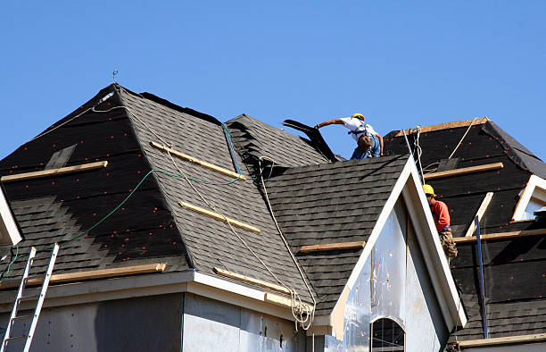 Best Storm Damage Roof Repair  in Cape Charles, VA