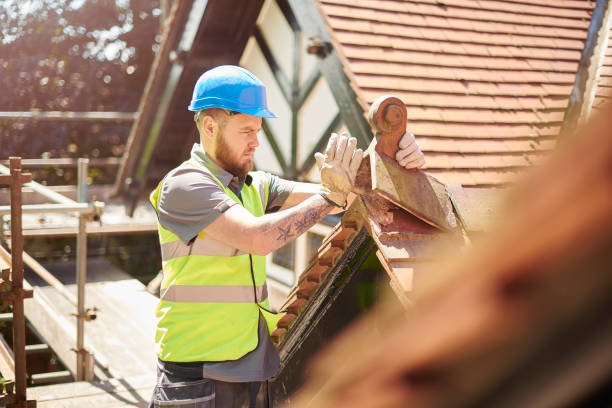 Best Roof Gutter Cleaning  in Cape Charles, VA