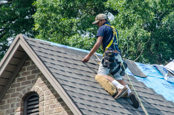 Best Flat Roof Repair Services  in Cape Charles, VA